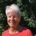 Darlene Diminutto